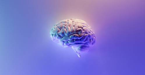 Intelligence artificielle et diagnostic médical – La douleur, du cerveau à aux algorithmes 